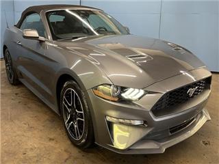 2022 Ford Mustang ecoboost