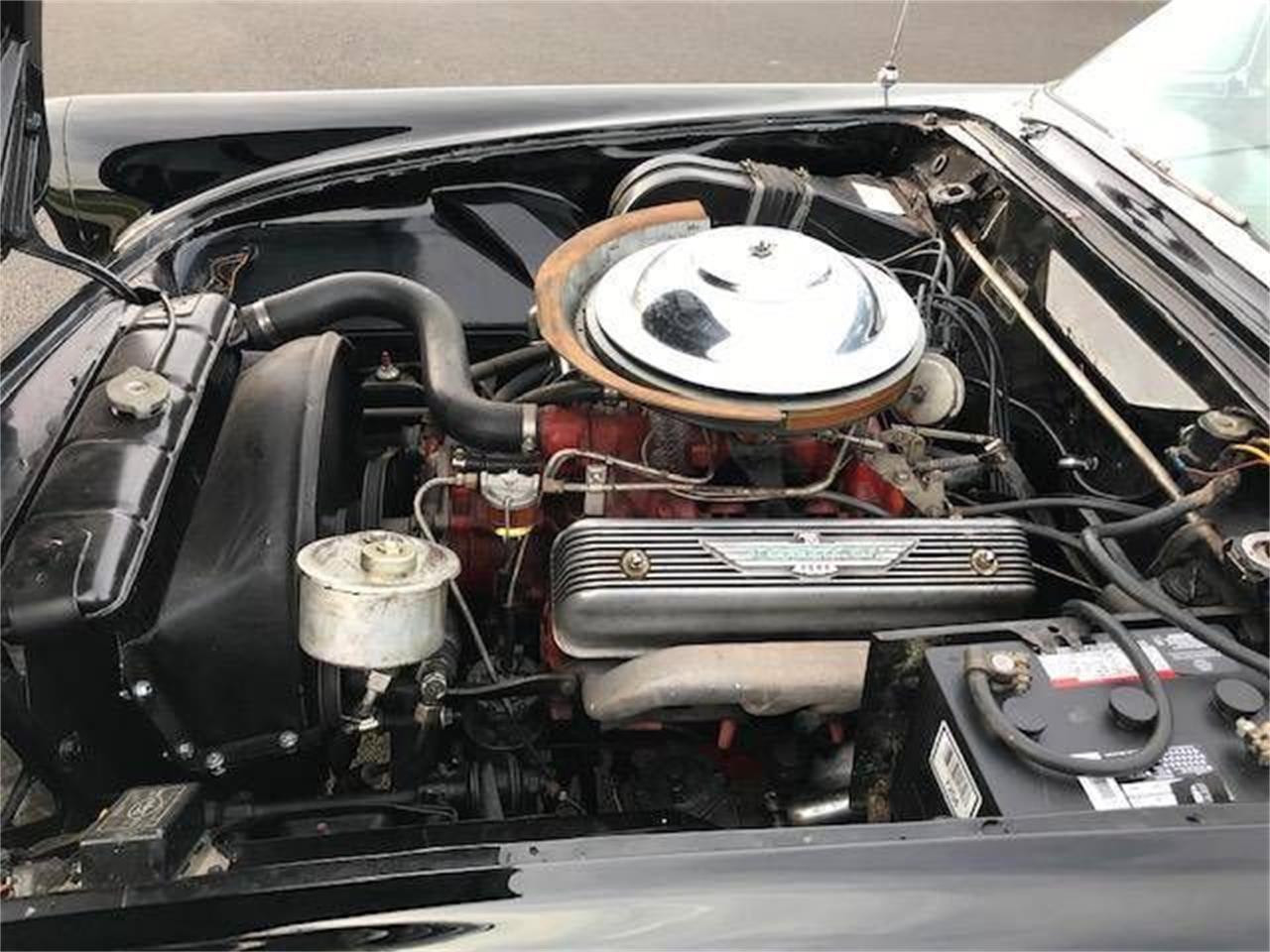 1955 ford thunderbird