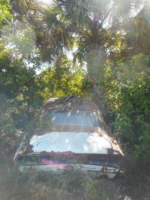 1969 camaro project ss396 x66 barn find