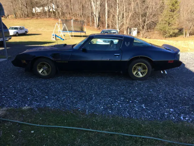 1979 pontiac firebird trans am coupe 2-door 6.6l t tops