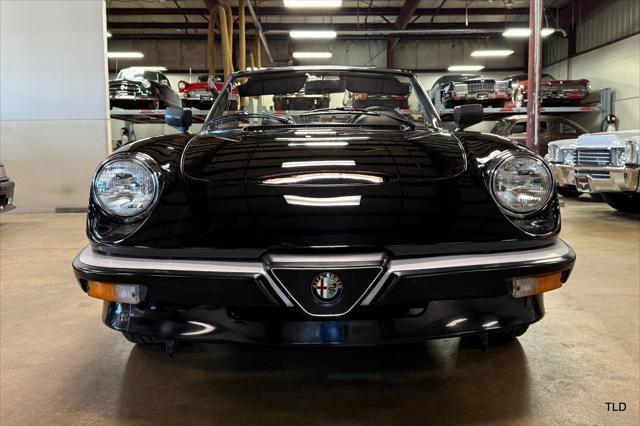 1986 alfa romeo spider veloce graduate
