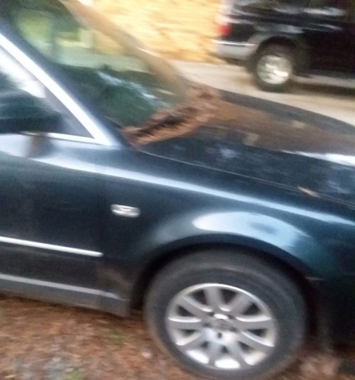 2003 volkswagen passat in north carolina by owner