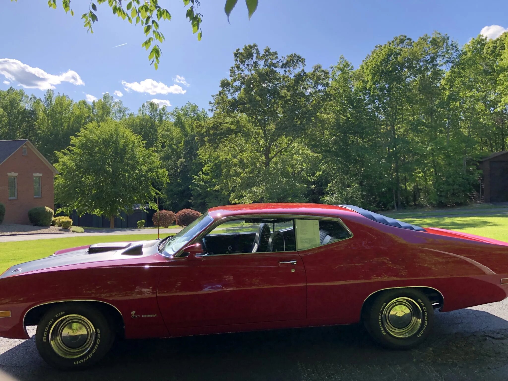 ford torino cobra