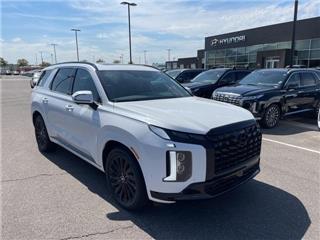 2025 Hyundai Palisade calligraphy night edition