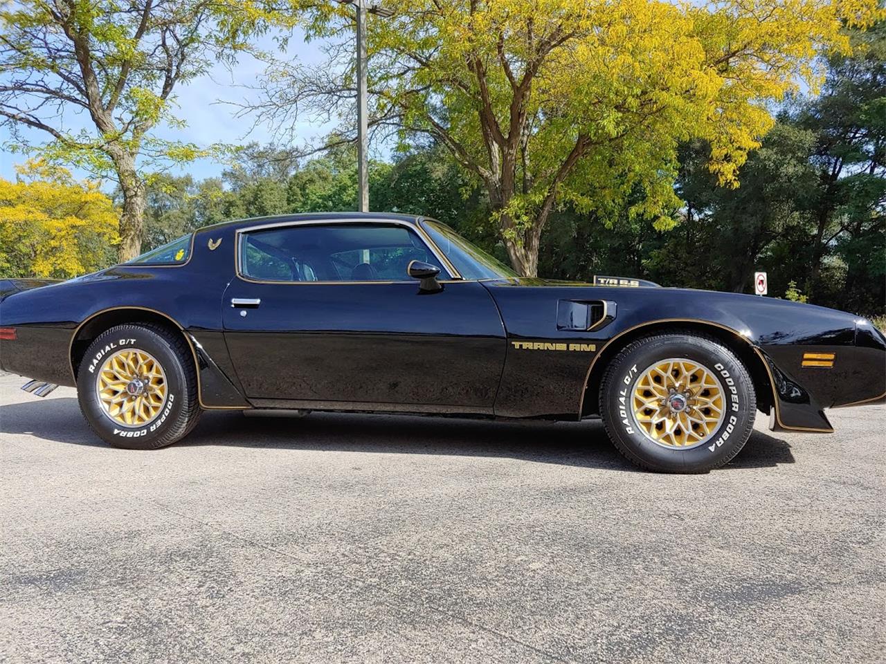 1979 pontiac firebird trans am