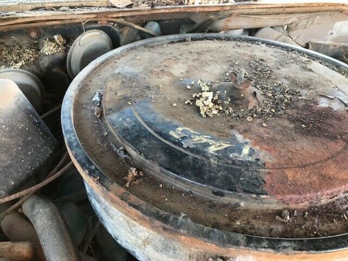 1960 buick invicta project