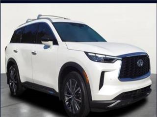 2025 Infiniti QX60 sensory