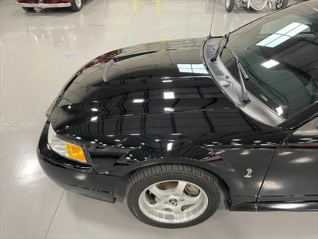 1999 ford mustang svt cobra