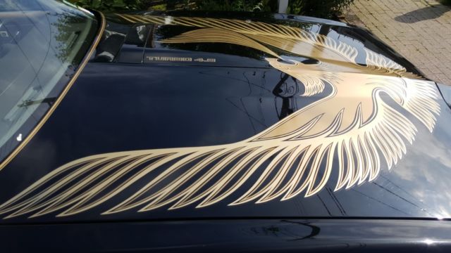1981 pontiac turbo trans am black special edition