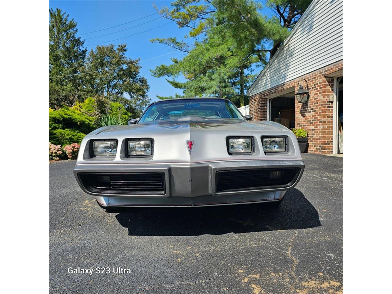 1979 pontiac firebird