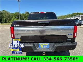 2020 Ford F-150 platinum