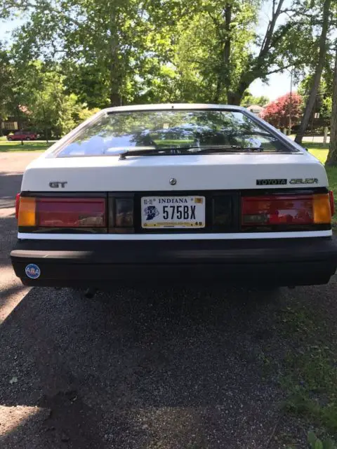 1984 white