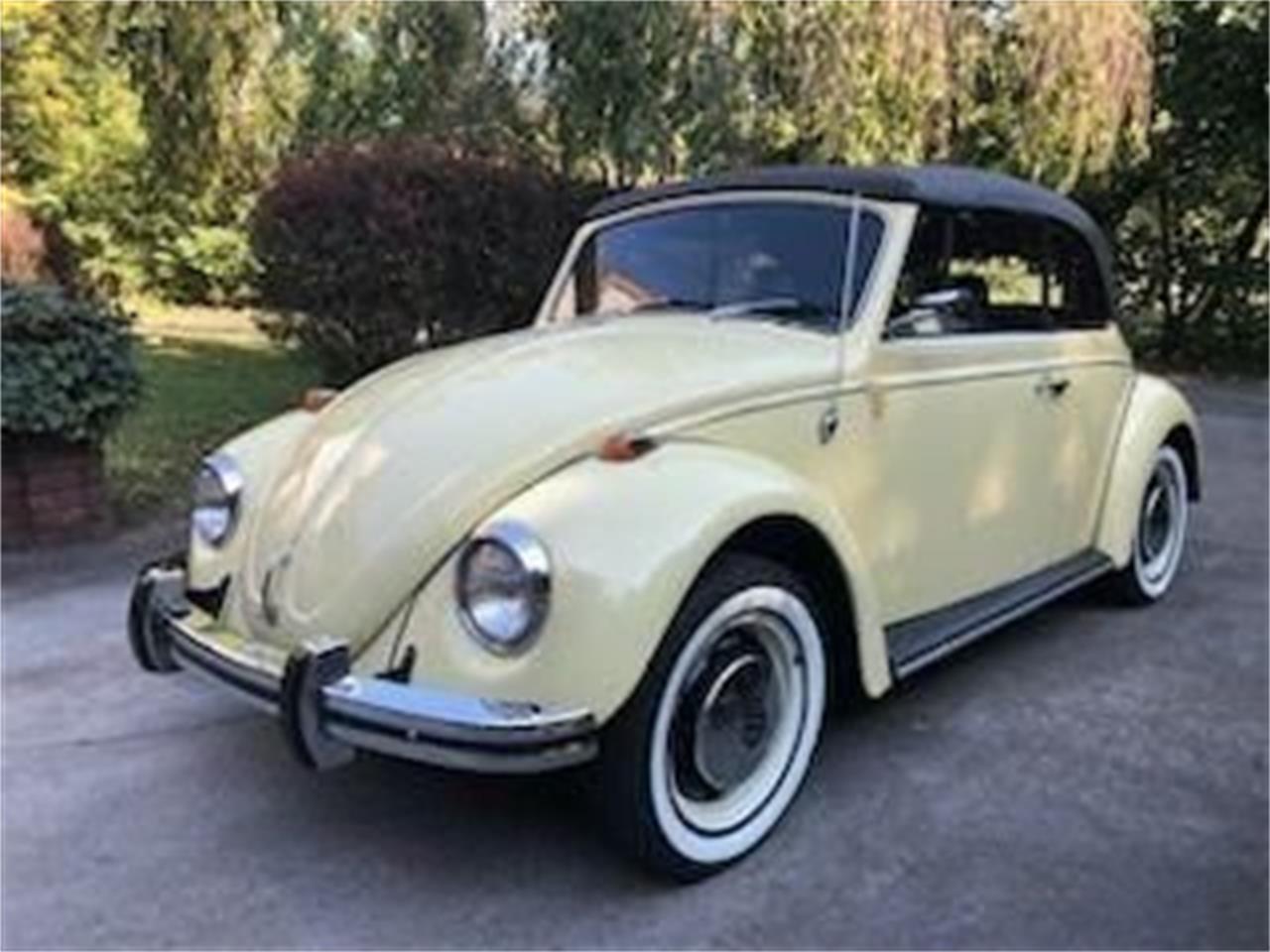 1969 volkswagen beetle