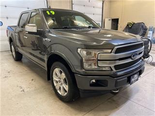 2019 Ford F-150 platinum