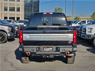 2020 Ford F-250 platinum