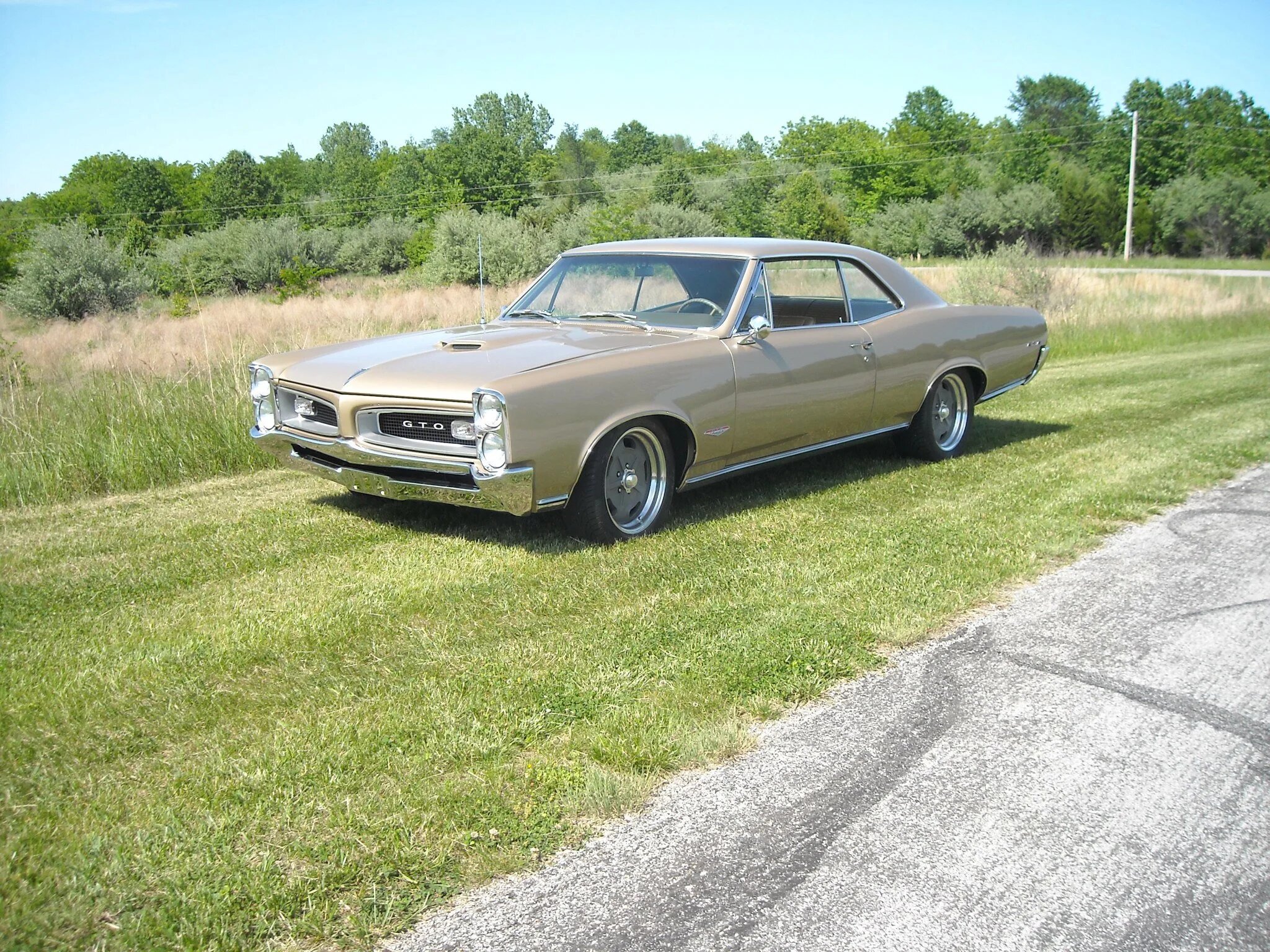pontiac gto
