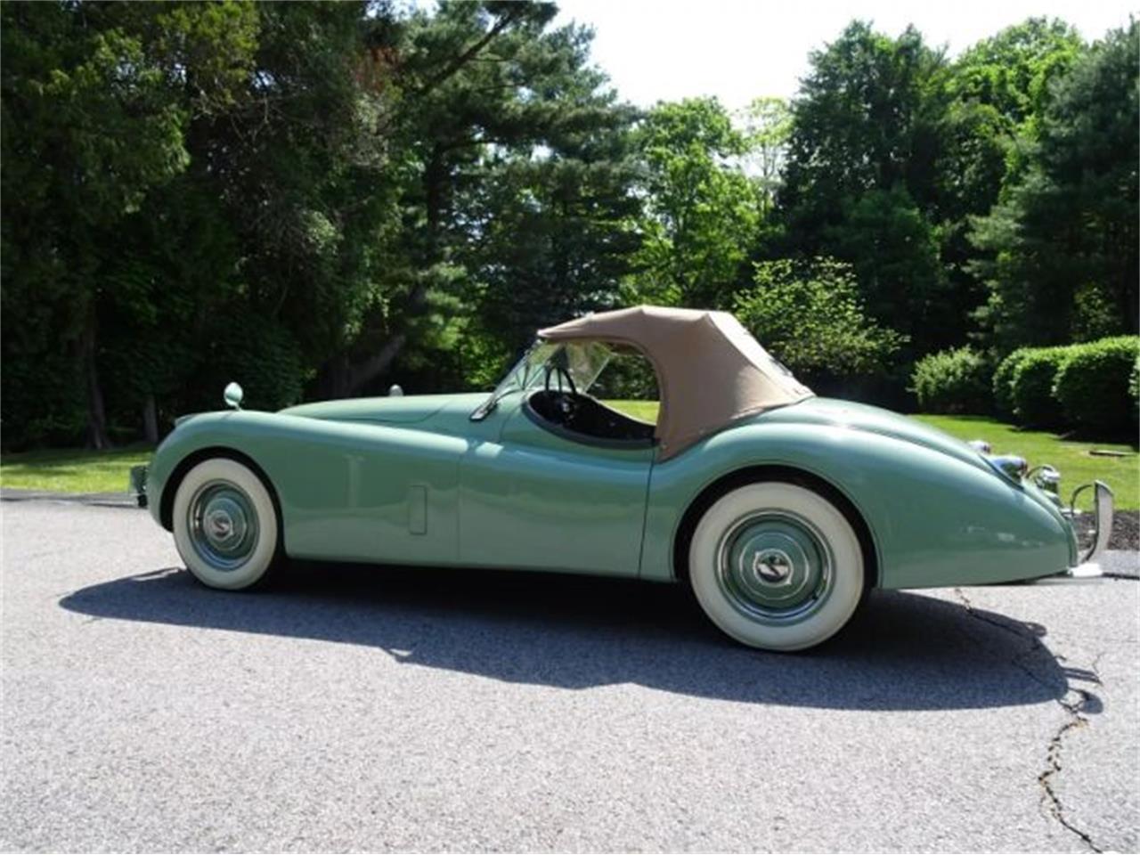1953 jaguar xk120
