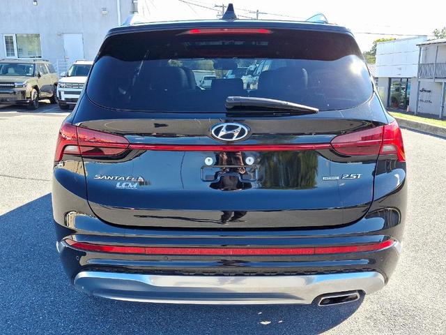 2023 hyundai santa fe calligraphy