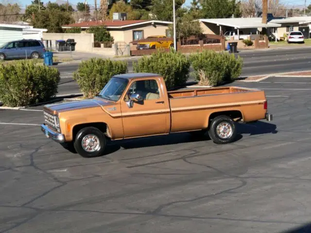 1979 chevrolet c10 custom deluxe