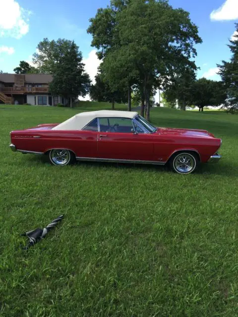 1966 failane 500xl convertible