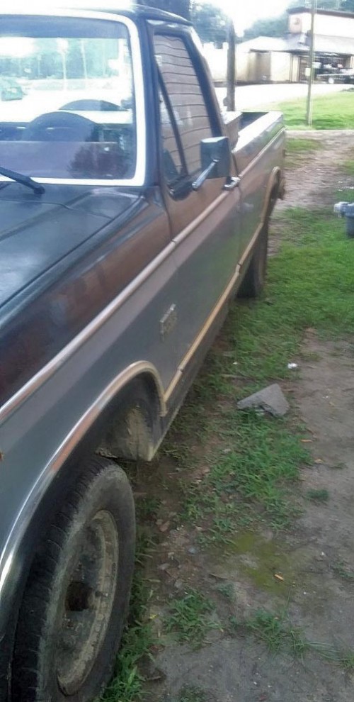 1984 ford f-150 xlt gold ed. for sale in mississippi by owner