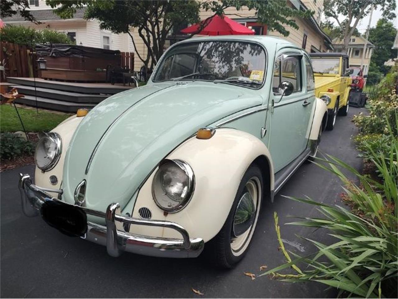 1965 volkswagen beetle