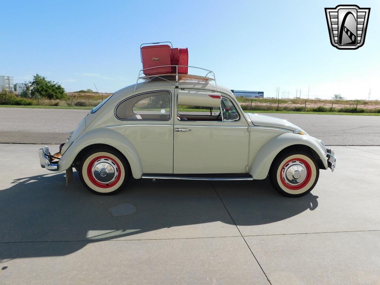 1966 volkswagen beetle