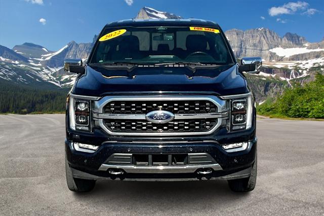 2022 ford f-150 platinum