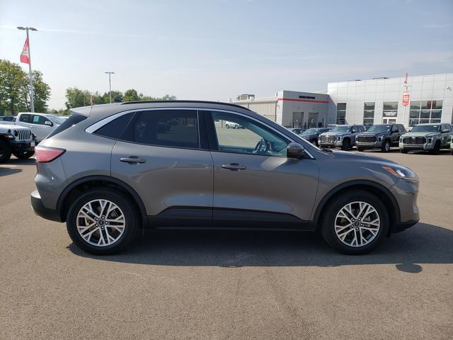 2022 ford escape sel