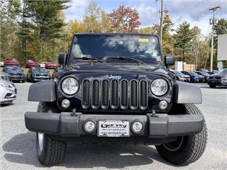 2016 Jeep Wrangler black bear