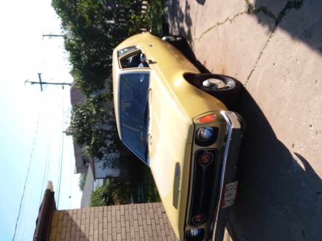 1976 gremlin standard