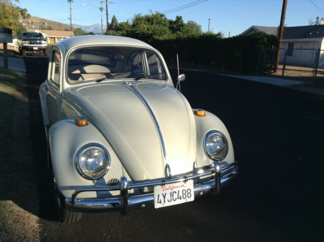 1966 volkswagen beetle pigalle- classic beetle