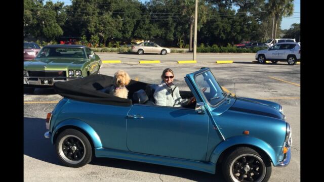 mini classic cabriolet 1971/1991