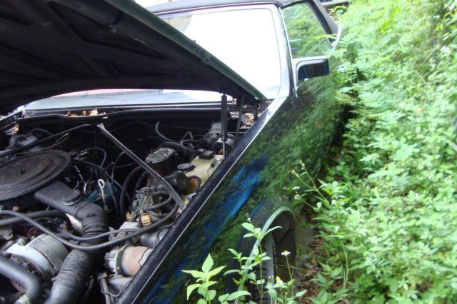 1982 buick riviera convertable one year only