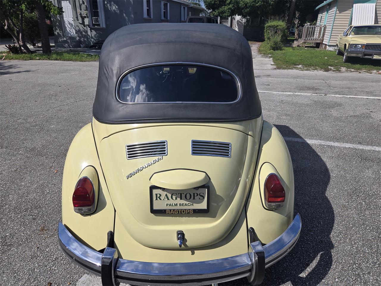 1969 volkswagen beetle