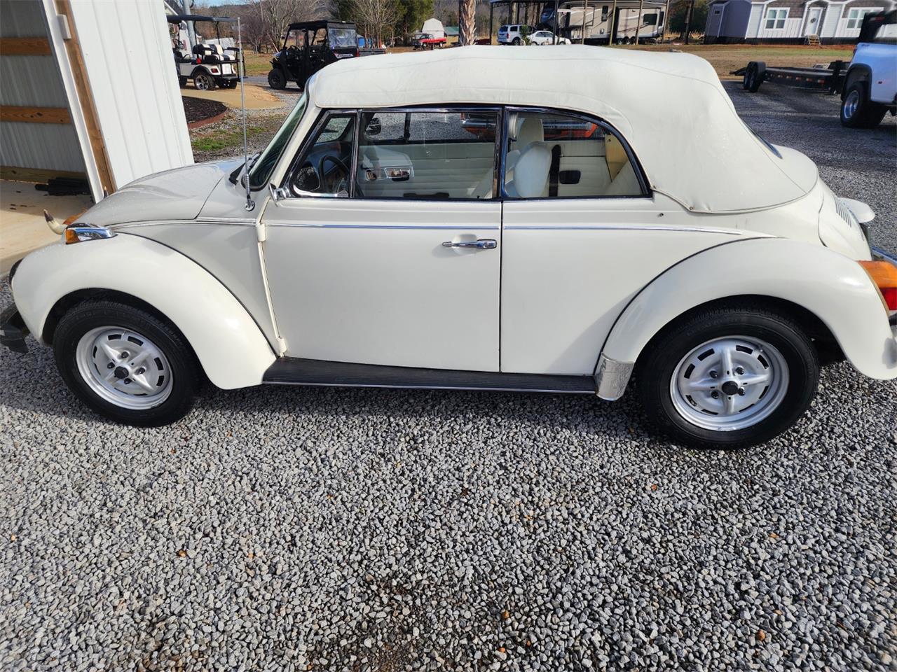 1979 volkswagen beetle