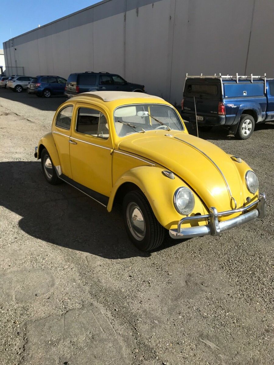 1963 vw beetle ragtop