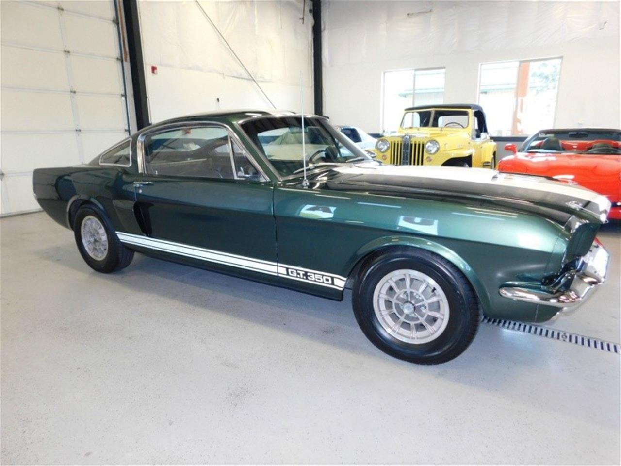 1966 shelby gt350