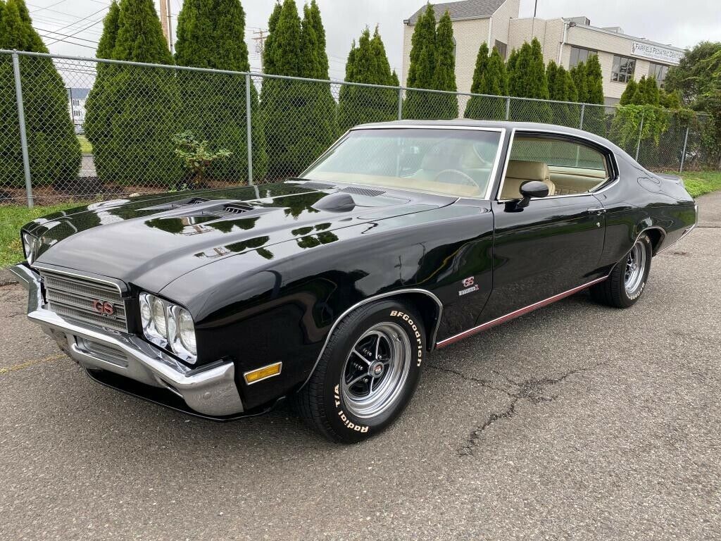 1971 buicl gs stage 1 ram air protecto-plate tribute $62000 invested