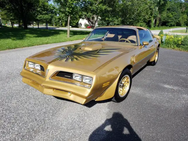 1978 pontiac firebird trans am special edition y88