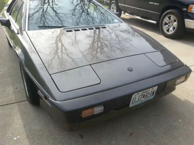 1983 lotus esprit turbo (investors edition)