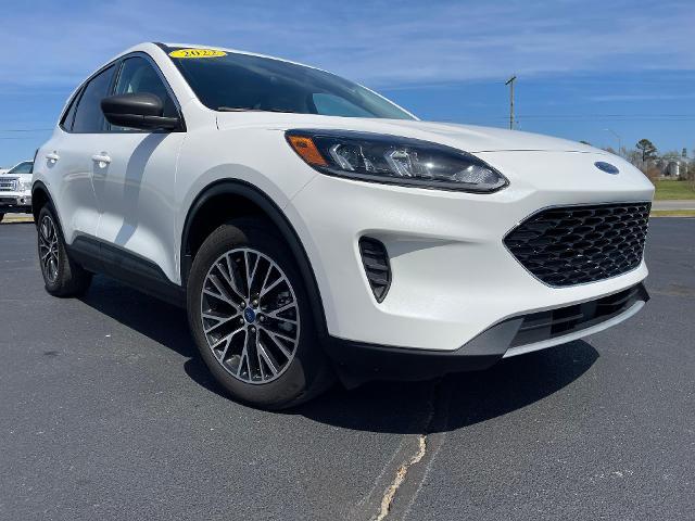 2022 ford escape se