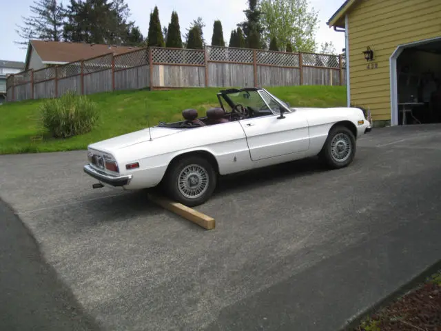 1978 alfa romeo spider w/ euro bumpers conversion and rare pininfarina hardtop