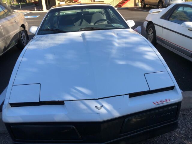 1983 pontiac firebird trans am, 25th anniversary daytona 500 pace car