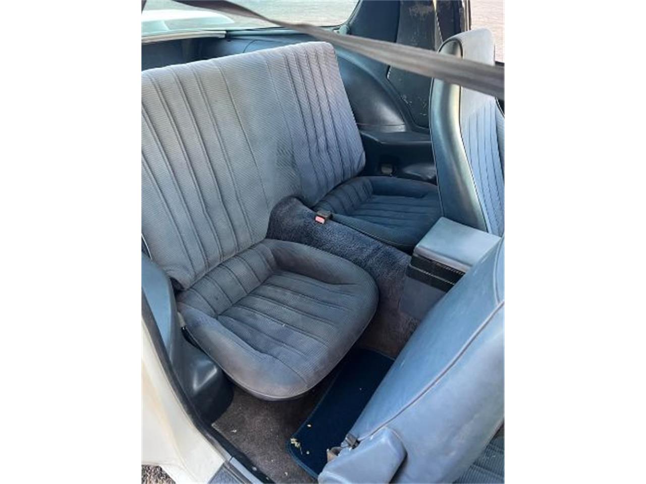 1984 pontiac firebird
