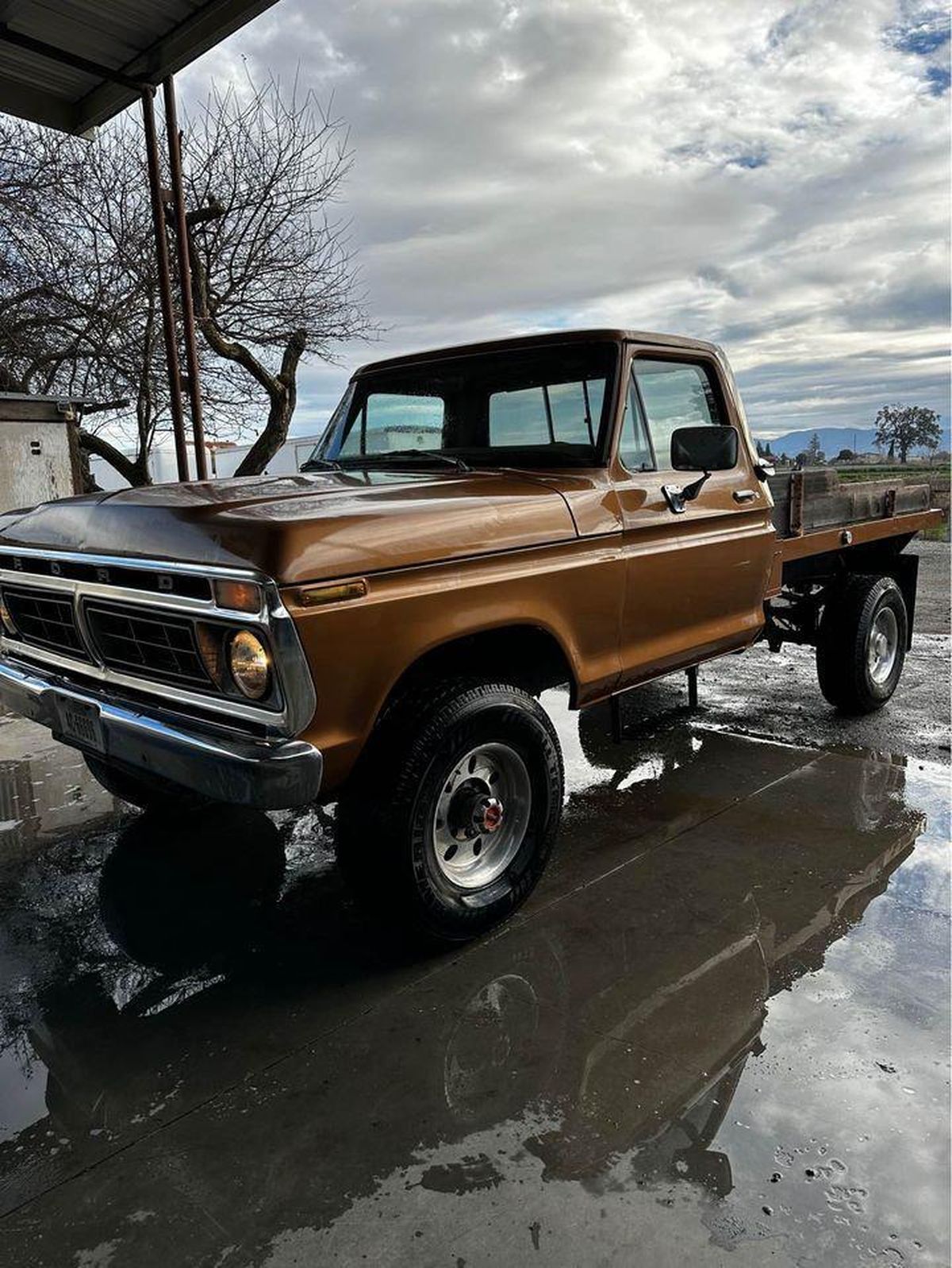 1976 ford f-250