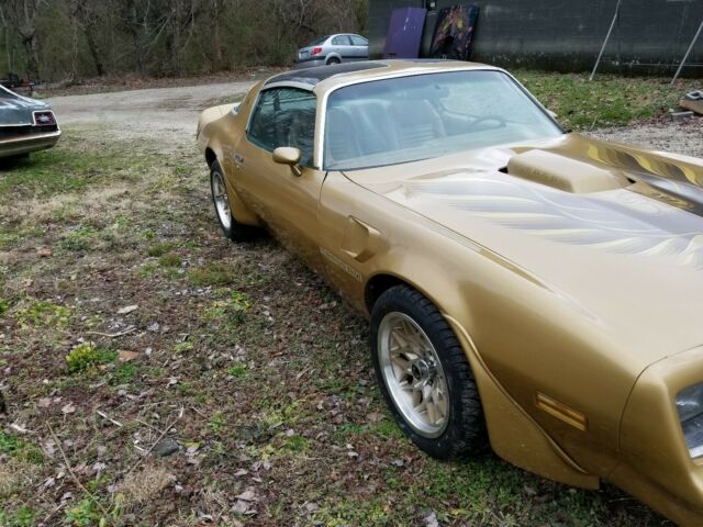 1978 pontiac trans am with t tops 455 auto trans gold