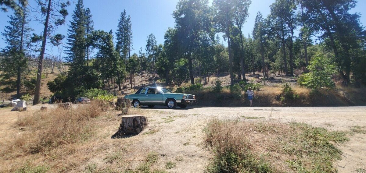 1981 ford granada sedan green rwd automatic