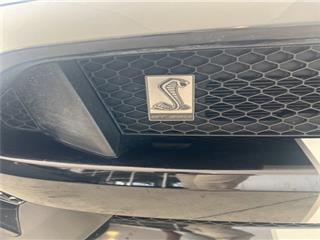 2019 Ford Mustang shelby gt350
