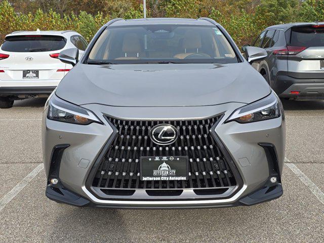 2022 lexus nx 250 premium